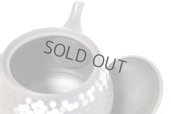 Photo7: Tokoname ware Japanese tea pot kyusu ceramic strainer YT Hokuryu in plum 300ml (7)