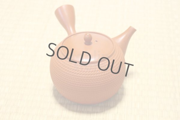 Photo1: Tokoname Japanese tea pot kyusu Gyokko pottery tea strainer shudei red L 500ml (1)
