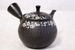 Photo4: Tokoname ware Japanese tea pot kyusu ceramic strainer YT Hokuryu in plum 300ml (4)