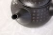 Photo6: Tokoname ware Japanese tea pot kyusu ceramic strainer YT Hokuryu in plum 300ml (6)