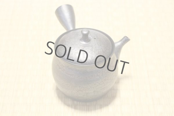 Photo1: Tokoname ware Japanese tea pot kyusu ceramic strainer YT Shoryu tenmoku 270ml (1)