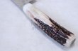 Photo6: SAKAI TAKAYUKI Japanese knife Damascus 45-layers Santoku Deer horn handle 180mm (6)