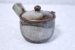 Photo2: Shigaraki Japanese tea pot kyusu tsutinone pottery tea strainer 230ml (2)