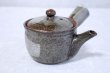 Photo3: Shigaraki Japanese tea pot kyusu tsutinone pottery tea strainer 230ml (3)