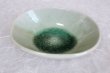 Photo4: Shigaraki pottery Japanese soup noodle serving bowl harukusa daen D170mm (4)