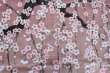 Photo6: Noren NM Japanese door curtain Shidarezakura pink 85 x 150cm (6)