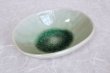 Photo1: Shigaraki pottery Japanese soup noodle serving bowl harukusa daen D170mm (1)