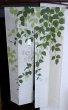 Photo5: Kyoto Noren KWOS Japanese door curtain Fuyou green 85 x 150cm (5)