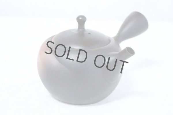 Photo4: Tokoname ware Japanese tea pot kyusu ceramic strainer YT Shoryu yamakasumi 340ml (4)