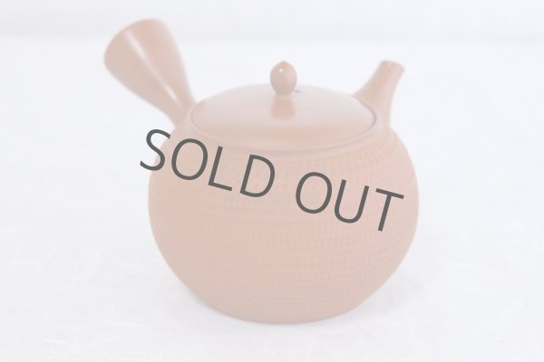 Photo3: Tokoname Japanese tea pot kyusu Gyokko pottery tea strainer shudei red ma 300ml (3)