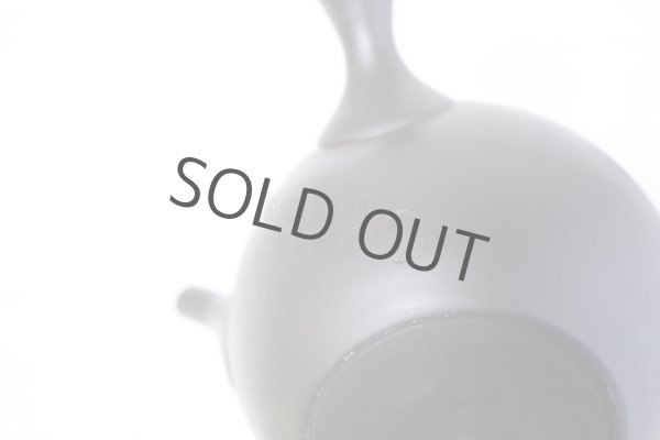 Photo10: Tokoname ware Japanese tea pot kyusu ceramic strainer YT Shoryu yamakasumi 340ml (10)