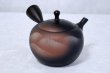 Photo3: Tokoname ware Japanese tea pot kyusu ceramic strainer YT Shoryu yamakasumi 340ml (3)