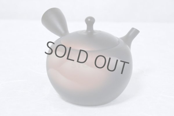 Photo3: Tokoname ware Japanese tea pot kyusu ceramic strainer YT Shoryu yamakasumi 340ml (3)