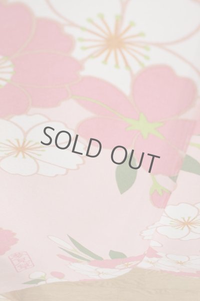 Photo5: Noren Japanese Curtain Doorway NM SD yumemiso flowers 85 x 150cm (5)