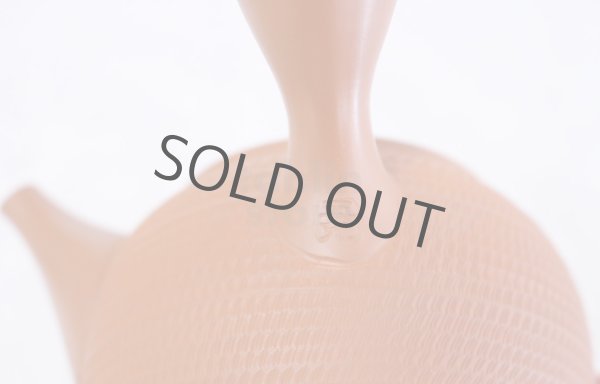 Photo9: Tokoname Japanese tea pot kyusu Gyokko pottery tea strainer shudei red ma 300ml (9)