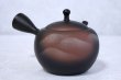 Photo11: Tokoname ware Japanese tea pot kyusu ceramic strainer YT Shoryu yamakasumi 340ml (11)