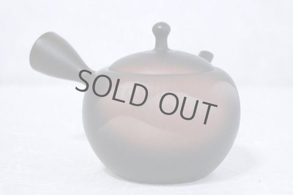 Photo11: Tokoname ware Japanese tea pot kyusu ceramic strainer YT Shoryu yamakasumi 340ml (11)