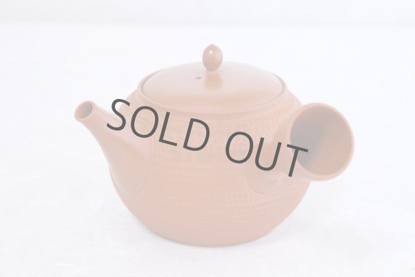 Photo5: Tokoname Japanese tea pot kyusu Gyokko pottery tea strainer shudei red ma 300ml (5)