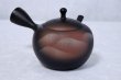 Photo2: Tokoname ware Japanese tea pot kyusu ceramic strainer YT Shoryu yamakasumi 340ml (2)