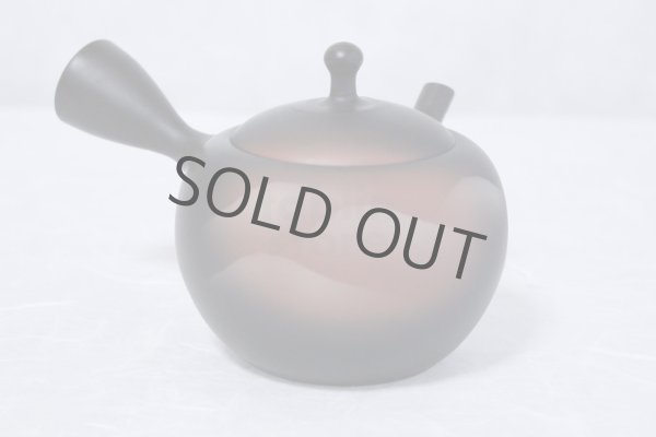 Photo2: Tokoname ware Japanese tea pot kyusu ceramic strainer YT Shoryu yamakasumi 340ml (2)