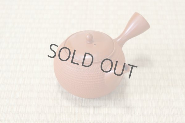 Photo1: Tokoname Japanese tea pot kyusu Gyokko pottery tea strainer shudei red ma 300ml (1)