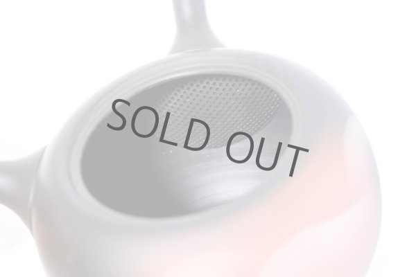 Photo8: Tokoname ware Japanese tea pot kyusu ceramic strainer YT Shoryu yamakasumi 340ml (8)