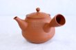 Photo9: Tokoname Japanese tea pot kyusu YT rokkasen waka reiko red 330ml and tea cups (9)