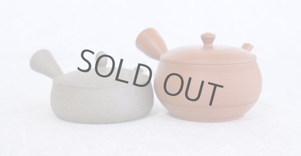 Photo5: Tokoname 2H Japanese tea pot Gyokko pottery tea strainer flat shape yakishime 170ml (5)