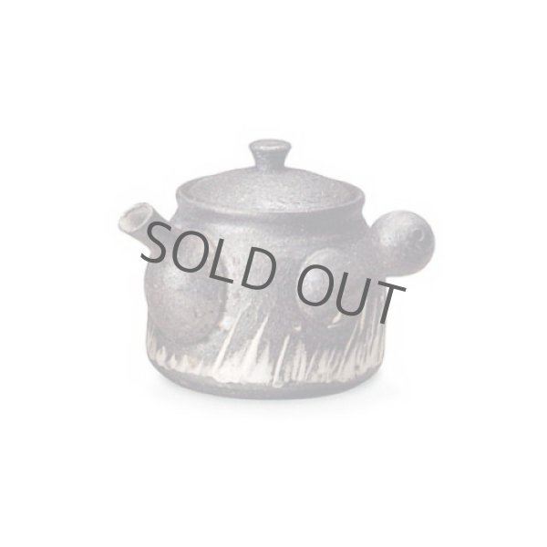 Photo11: Shigaraki pottery tea strainer Japanese tea pot kyusu jyuhyo 400ml (11)
