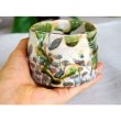 Photo11: Mino Japanese pottery matcha tea bowl chawan Oribe hanamon set of 2 w/woodbox  (11)