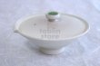 Photo5: Shigaraki pottery Japanese tea pot kyusu Hohin shiboridashi Ryofu 95ml (5)