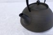 Photo2: ITCHU-DO HAKEME Japanese Cast Iron tea Kettle Nambu Tetsubin 1300ml (2)