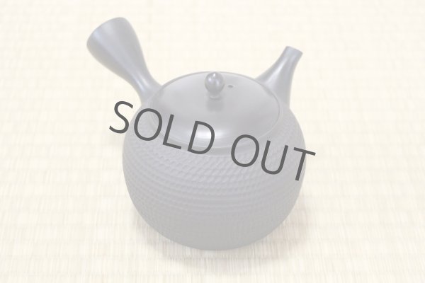 Photo2: Tokoname Japanese tea pot kyusu Gyokko pottery tea strainer black dei L 500ml (2)