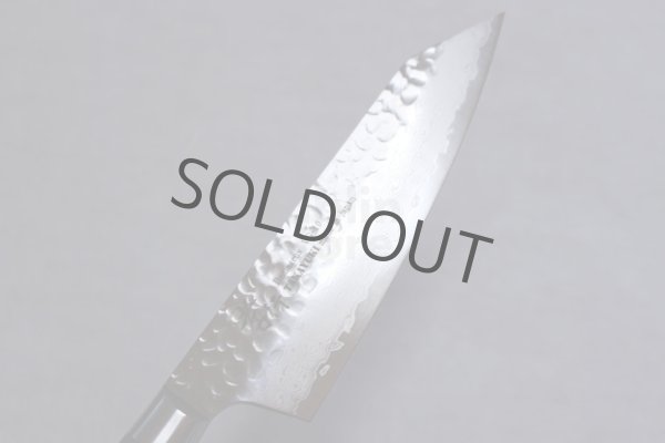 Photo6: SAKAI TAKAYUKI hammered Damascus 33 layer VG-10 Japanese knife Kiritsuke kengata Gyuto, Santoku (6)