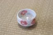 Photo8: Mino ware Japanese pottery tea ceremony bowl Matcha chawan sancha folower noten  (8)