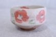 Photo1: Mino ware Japanese pottery tea ceremony bowl Matcha chawan sancha folower noten  (1)