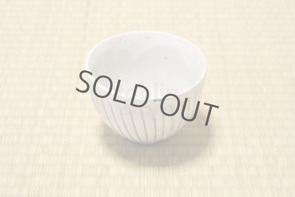 Photo7: Mino ware Japanese pottery matcha chawan tea bowl toga sogi noten (7)
