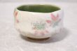 Photo3: Mino ware Japanese pottery tea ceremony bowl Matcha chawan maple momiji noten  (3)