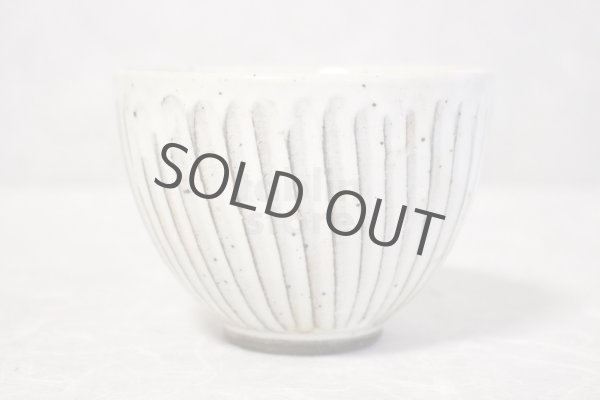 Photo2: Mino ware Japanese pottery matcha chawan tea bowl toga sogi noten (2)
