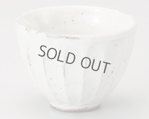 Photo9: Mino ware Japanese pottery matcha chawan tea bowl toga mentori noten (9)