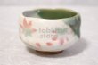 Photo1: Mino ware Japanese pottery tea ceremony bowl Matcha chawan maple momiji noten  (1)