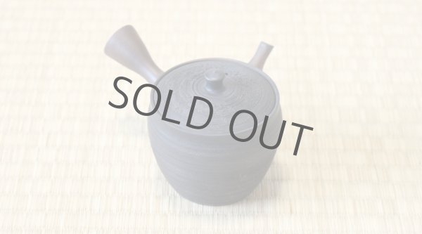 Photo12: Tokoname YT Japanese tea pot Gyokko pottery tea strainer yohen matsu 160ml (12)