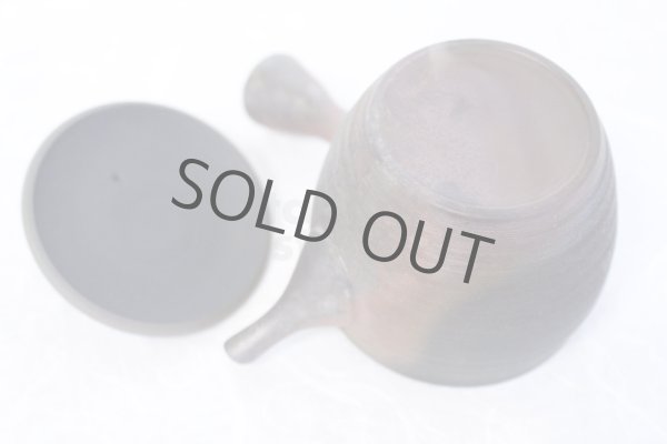 Photo10: Tokoname YT Japanese tea pot Gyokko pottery tea strainer yohen matsu 160ml (10)