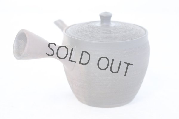 Photo3: Tokoname YT Japanese tea pot Gyokko pottery tea strainer yohen matsu 160ml (3)