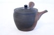 Photo6: Tokoname YT Japanese tea pot Gyokko pottery tea strainer yohen matsu 160ml (6)