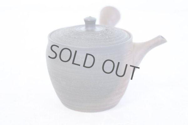 Photo6: Tokoname YT Japanese tea pot Gyokko pottery tea strainer yohen matsu 160ml (6)