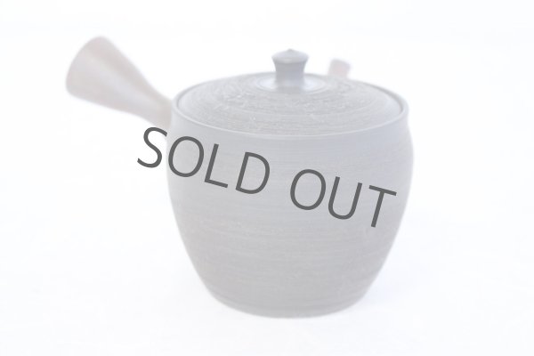 Photo4: Tokoname YT Japanese tea pot Gyokko pottery tea strainer yohen matsu 160ml (4)
