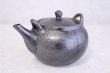 Photo3: Shigaraki pottery Dobin Japanese tea pot kyusu nanbu 600ml (3)