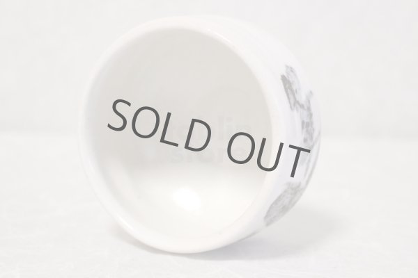 Photo8: Mino ware pottery Japanese tea ceremony bowl Matcha chawan sansui white shino (8)