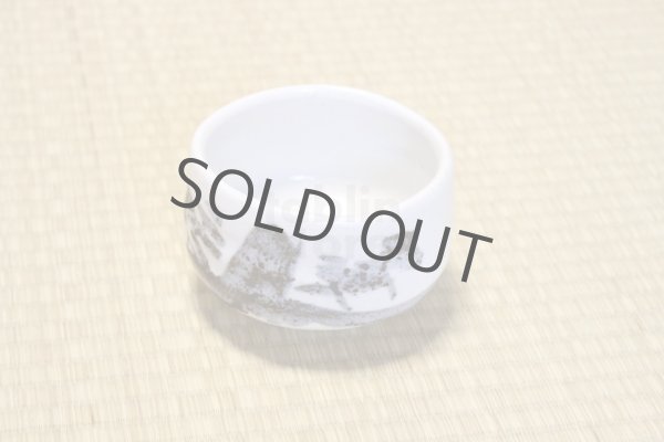 Photo10: Mino ware pottery Japanese tea ceremony bowl Matcha chawan sansui white shino (10)